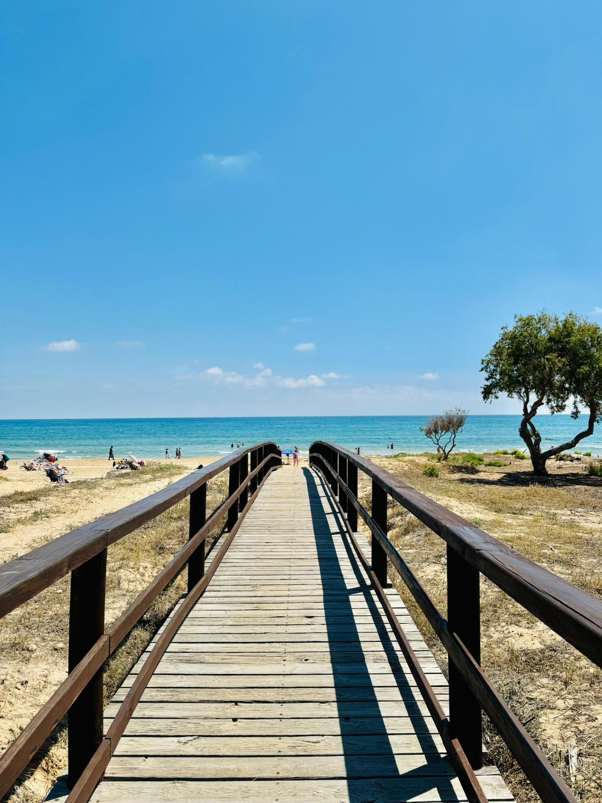 Kattohuoneisto PLAYA DE LA MATASSA