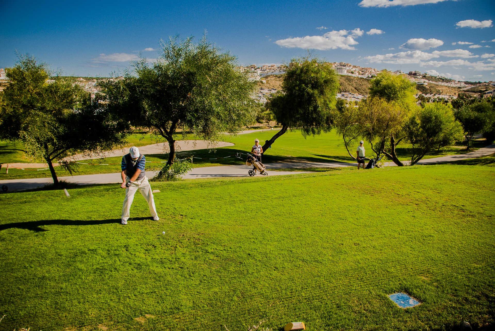 Vila v prodeji in Rojales