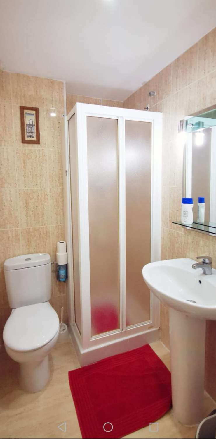 OPPORTUNITY!! RENOVATED STUDIO TO INVEST IN TORREVIEJA!!