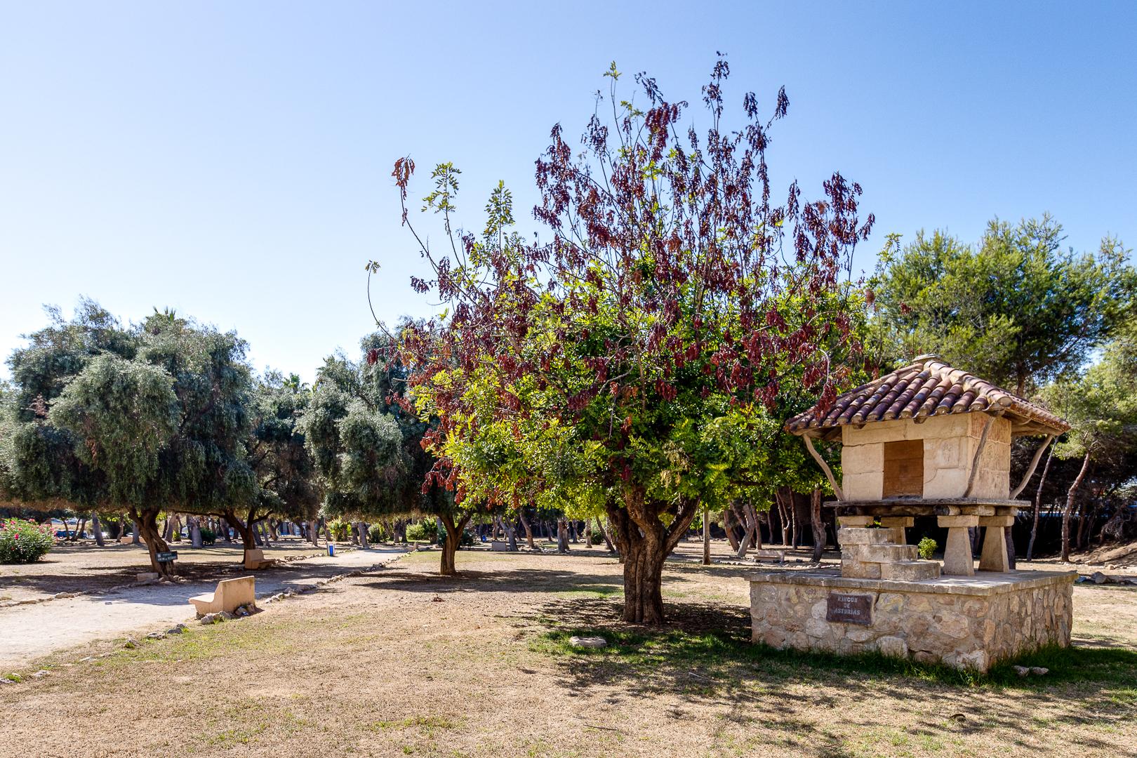 Pieni huoneisto myynnissä Torrevieja