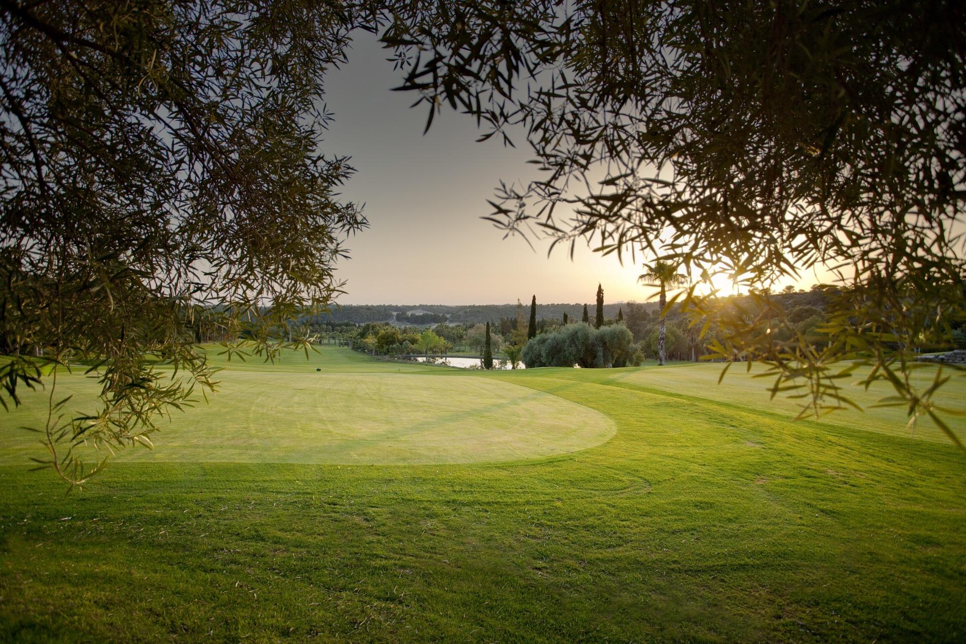 Penthouse til salg i Orihuela Costa